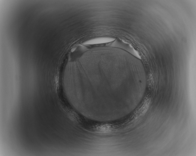 X0000102520600200809051445