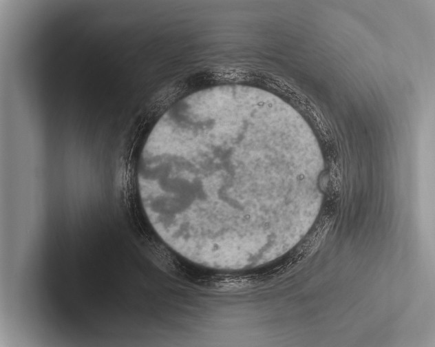 X0000102520601200809051445