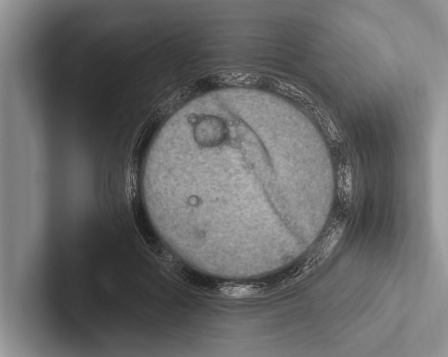 X0000102520602200809051445