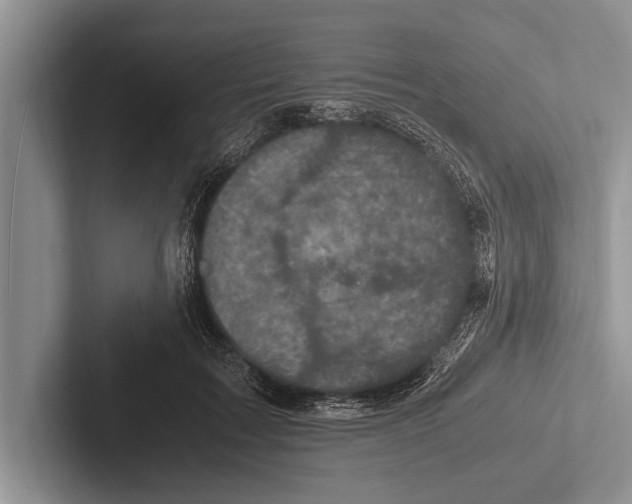 X0000102520603200809051445