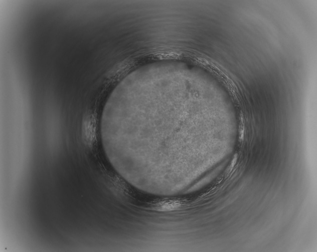 X0000102520604200809051445