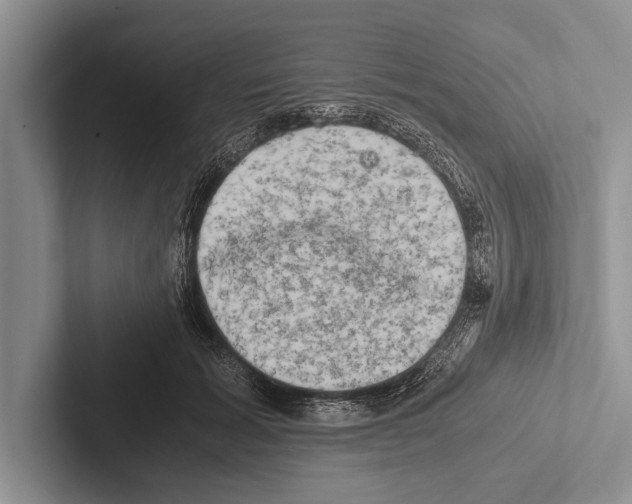 X0000102520605200809051445