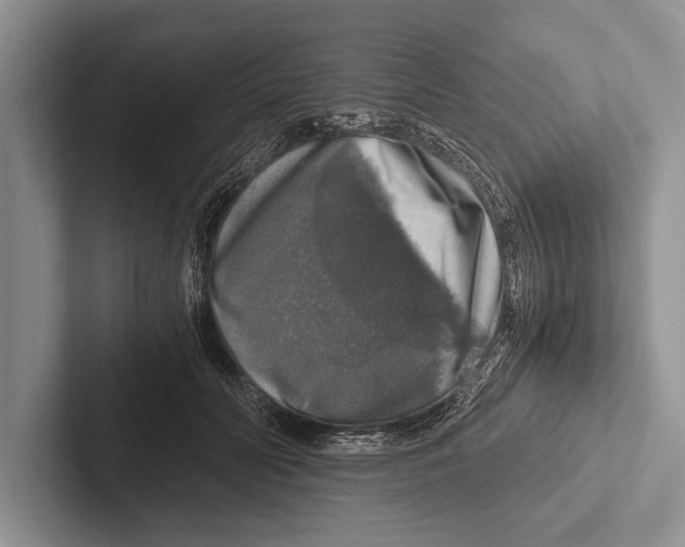 X0000102520606200809051445