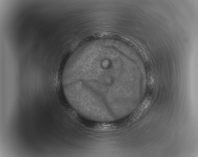 X0000102520607200809051445