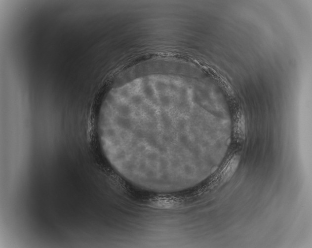 X0000102520608200809051445