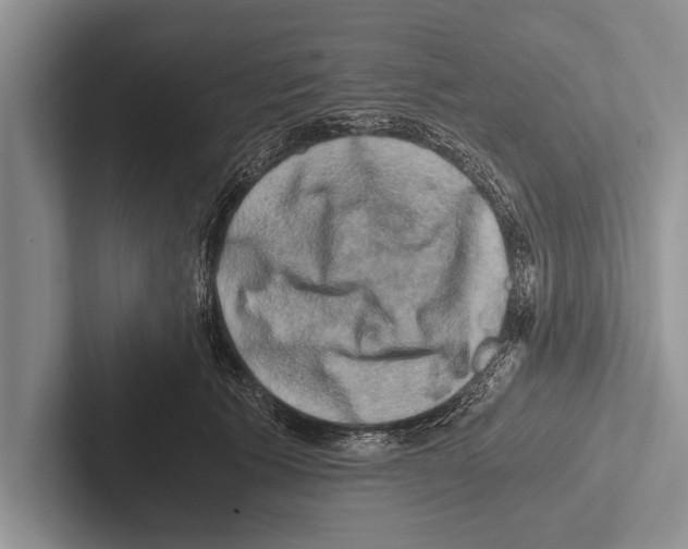 X0000102520609200809051445
