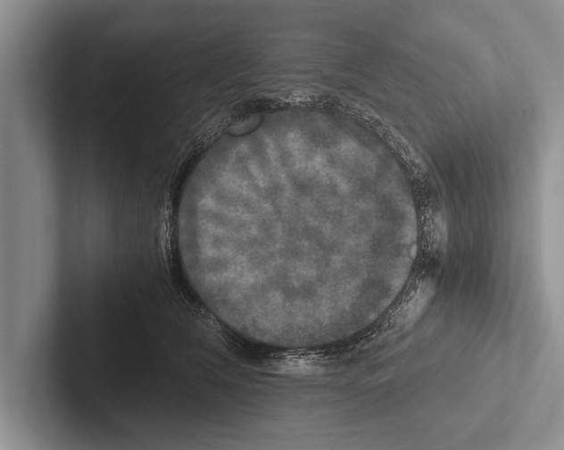 X0000102520612200809051445