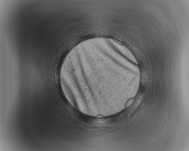 X0000102520613200809051444