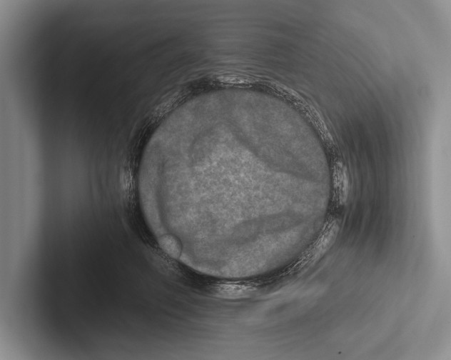 X0000102520614200809051444