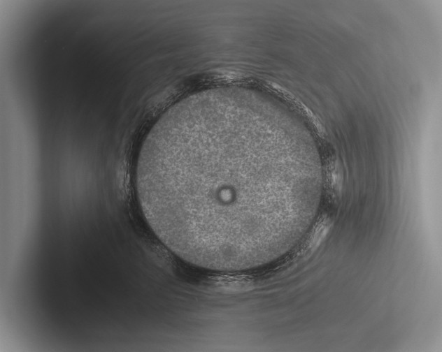 X0000102520615200809051444