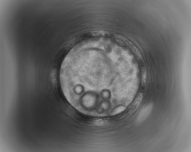 X0000102520616200809051444