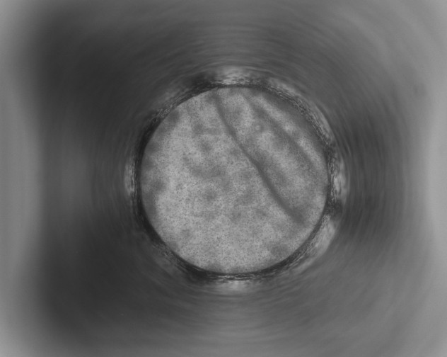 X0000102520620200809051444