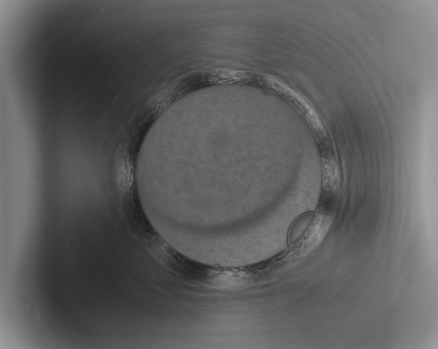 X0000102520621200809051444