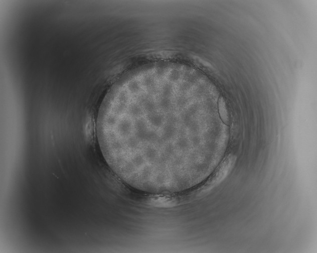 X0000102520624200809051444