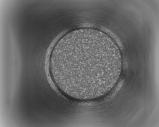 X0000102520625200809051444