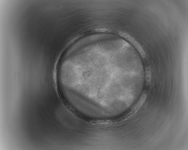 X0000102520626200809051444