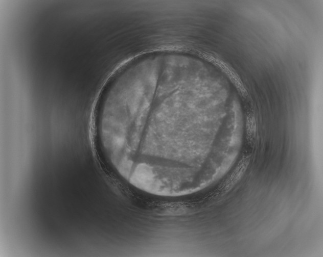 X0000102520628200809051444