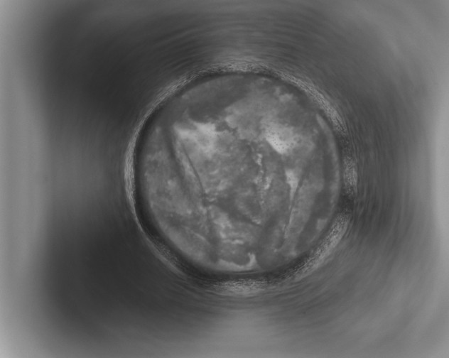 X0000102520630200809051444