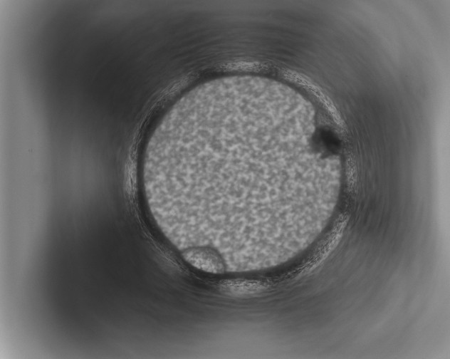 X0000102520633200809051444