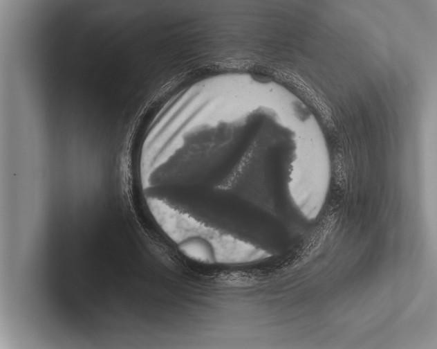 X0000102520634200809051444