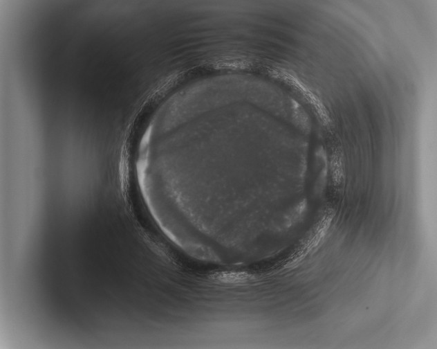 X0000102520637200809051444