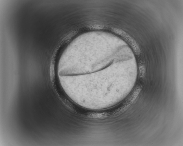 X0000102520638200809051444