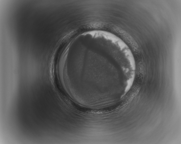 X0000102520640200809051444