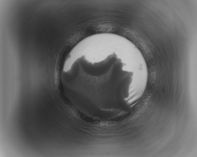 X0000102520641200809051444