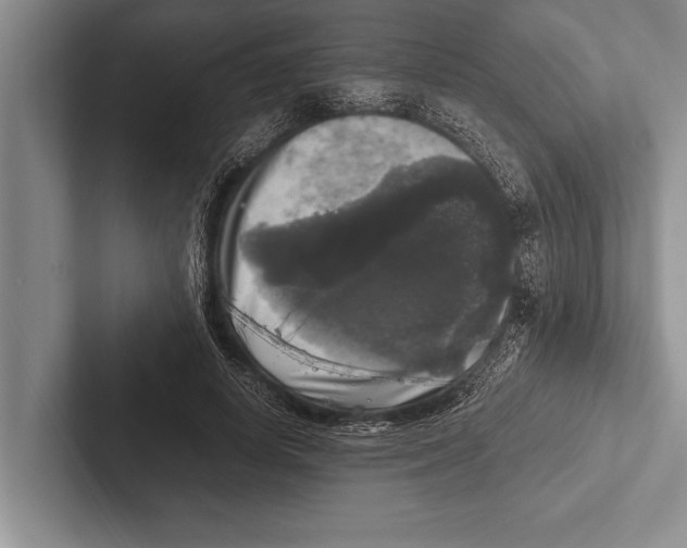 X0000102520642200809051444