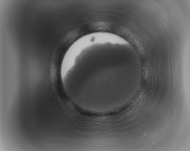 X0000102520643200809051444