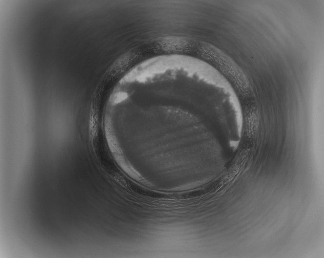 X0000102520644200809051444