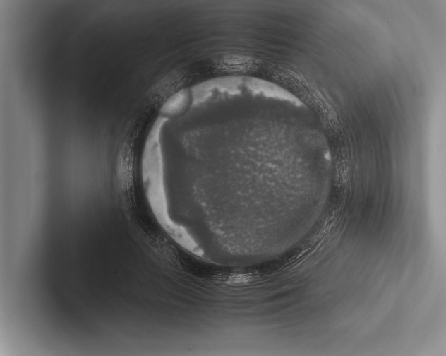 X0000102520647200809051444