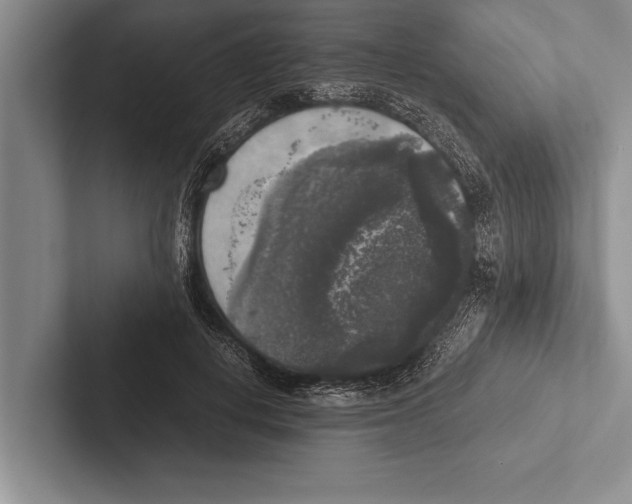 X0000102520648200809051444