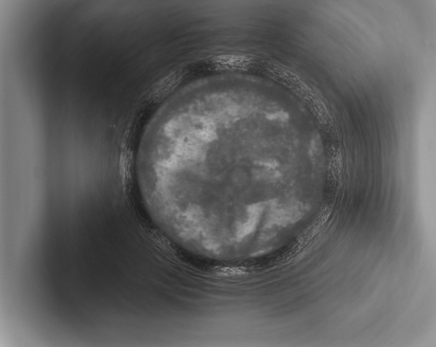 X0000102520649200809051444