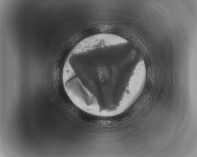 X0000102520650200809051444