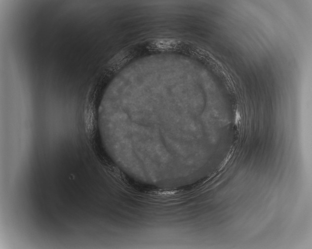 X0000102520651200809051444