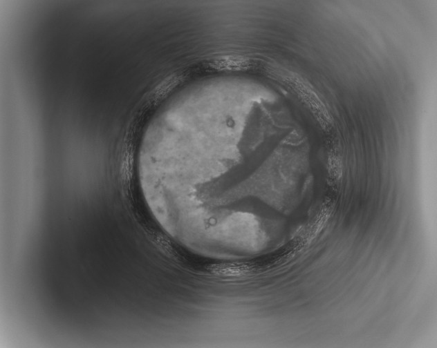 X0000102520652200809051444