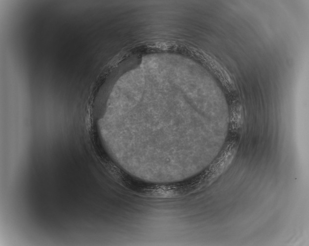 X0000102520656200809051444