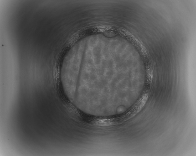 X0000102520657200809051444