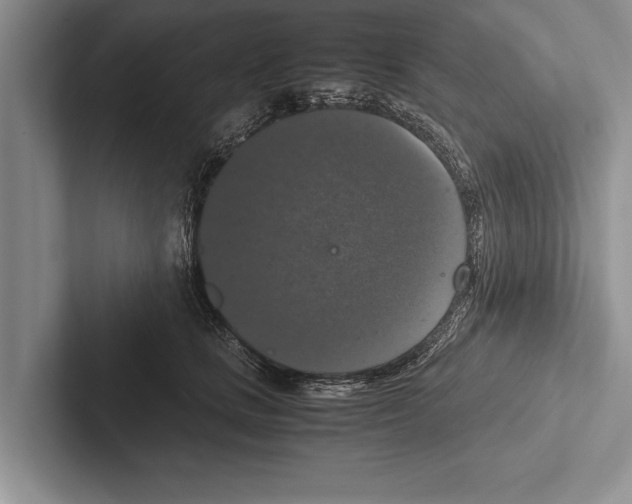 X0000102520661200809051444