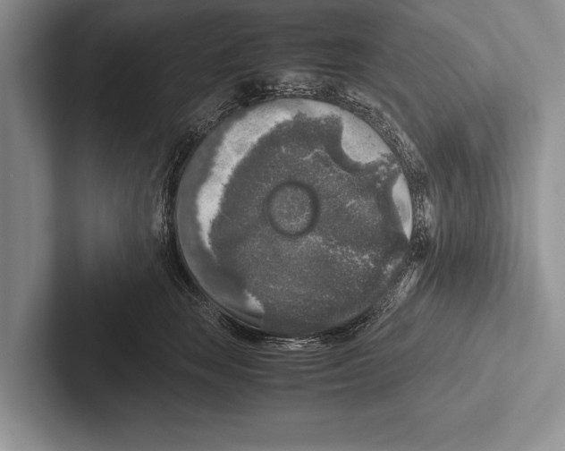 X0000102520663200809051444