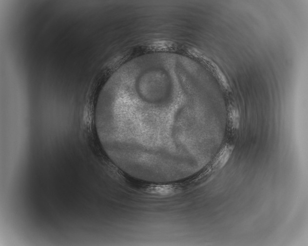 X0000102520665200809051444