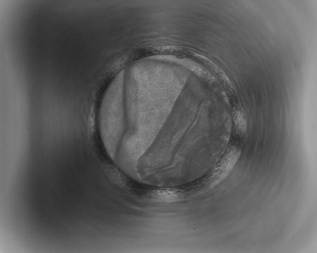 X0000102520668200809051444