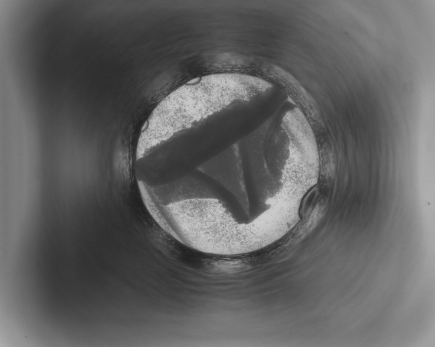 X0000102520669200809051444