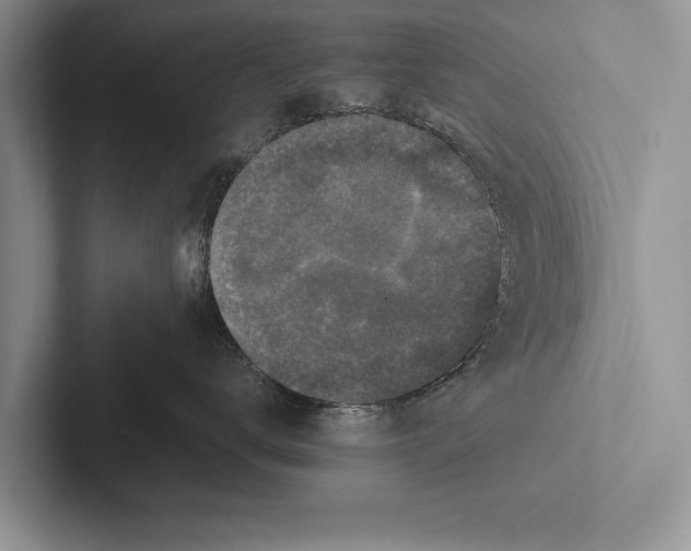 X0000102520672200809051444