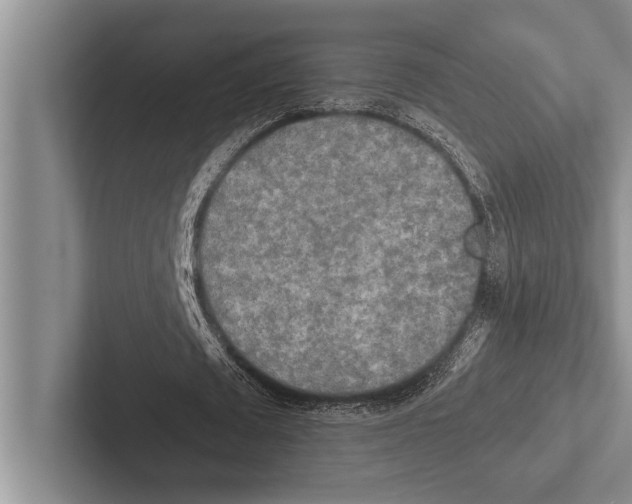 X0000102520673200809051444