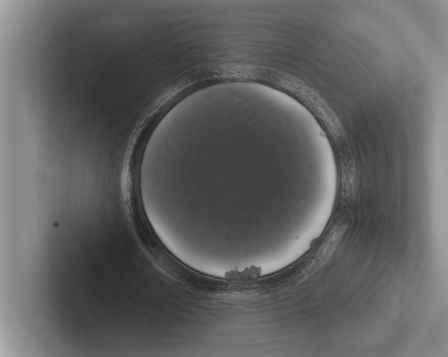 X0000102520674200809051444