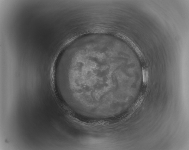 X0000102520675200809051444