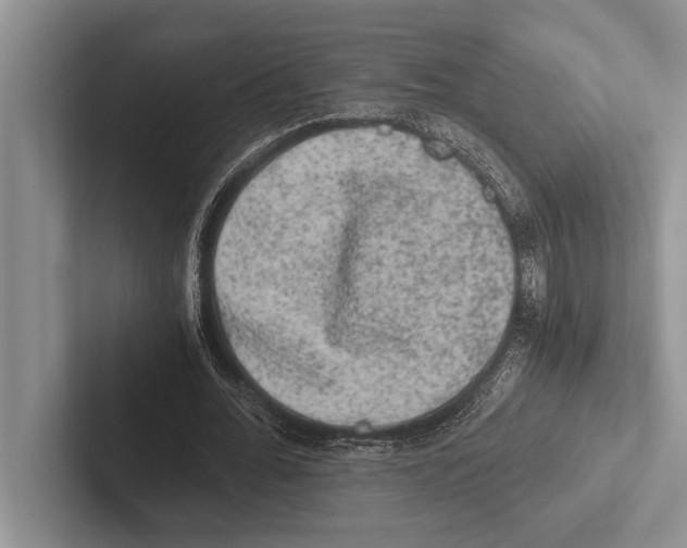 X0000102520676200809051444