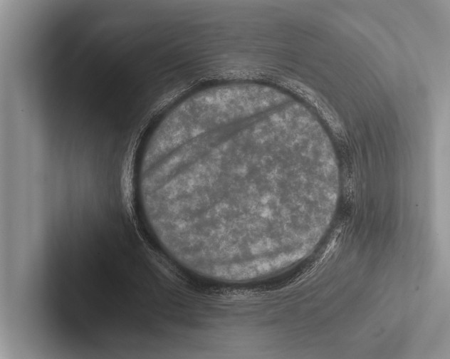 X0000102520677200809051444